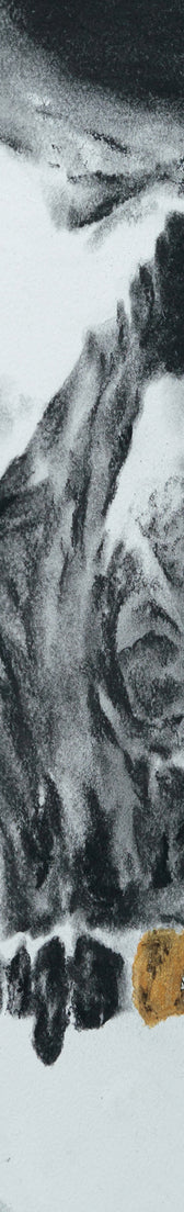 Numbered Reproduction Skull X - LIMITED EDITION